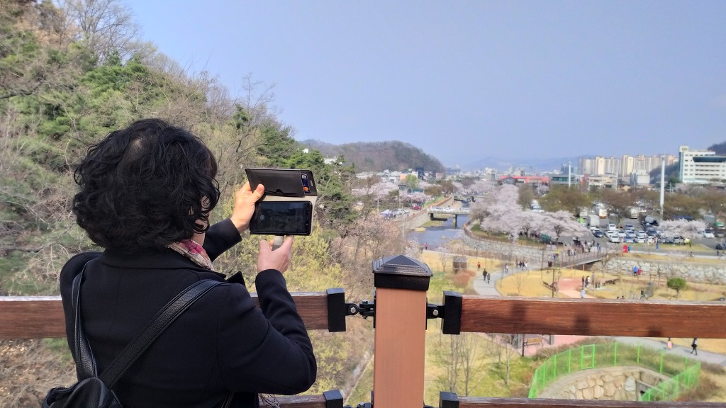 벚꽃따라걷는길