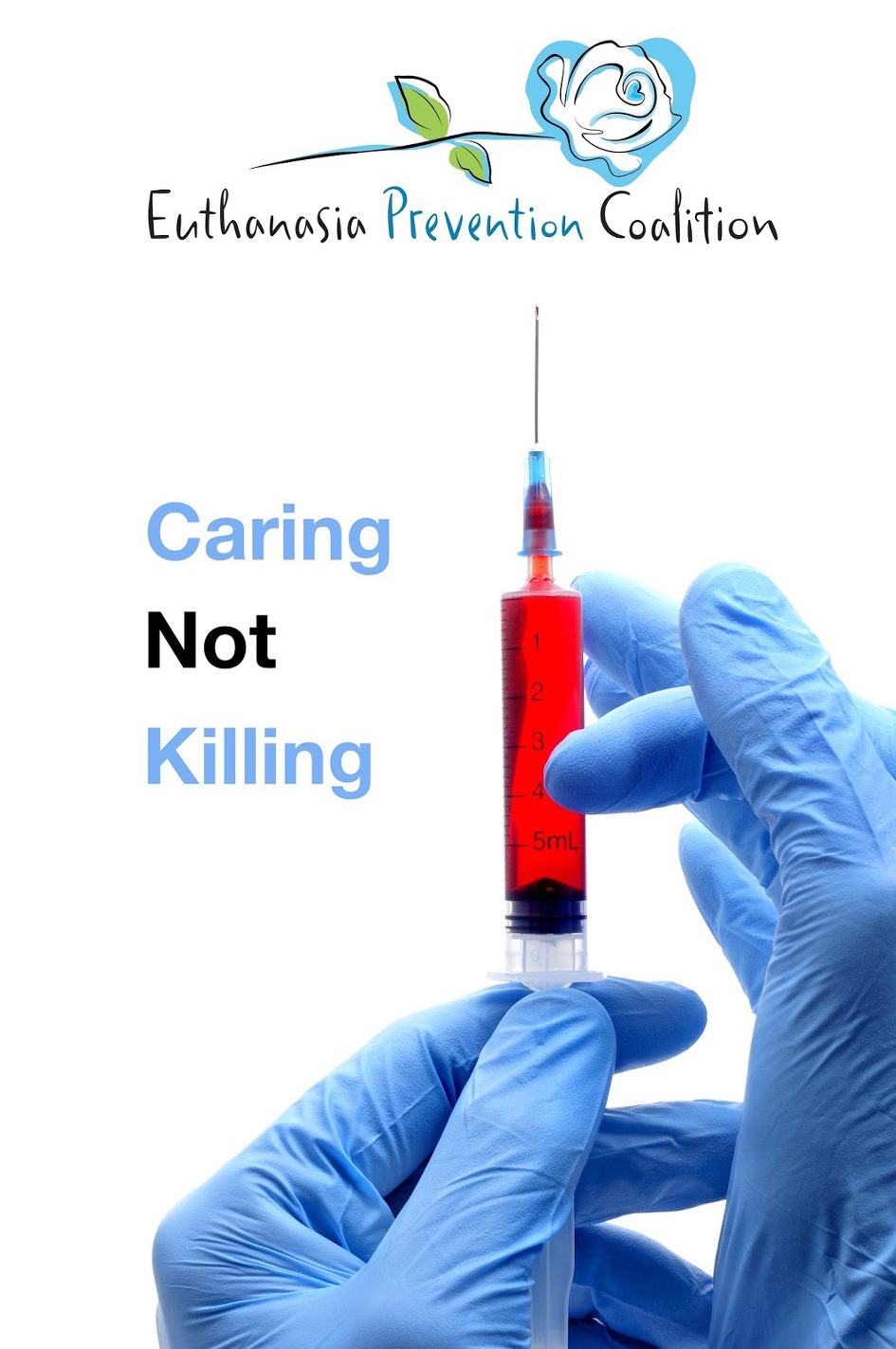 안락사 (영어 euthanasia)