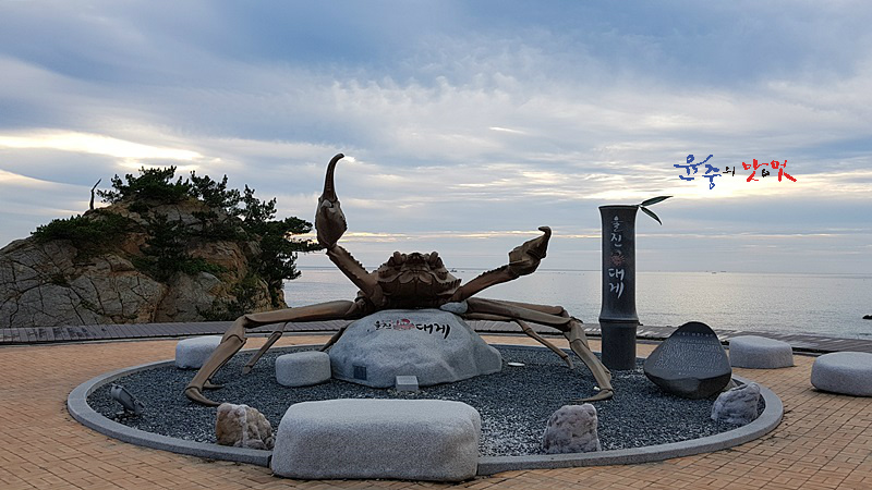 울진죽변항 이미지