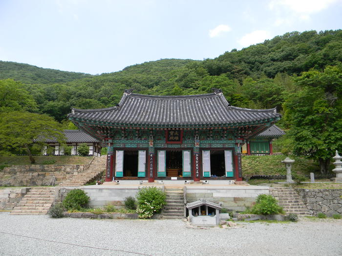 함평 모악산 용천사 (대웅전, 꽃무릇)