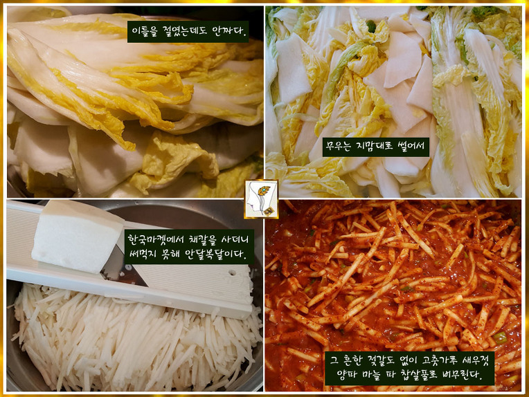 또 다른 시작