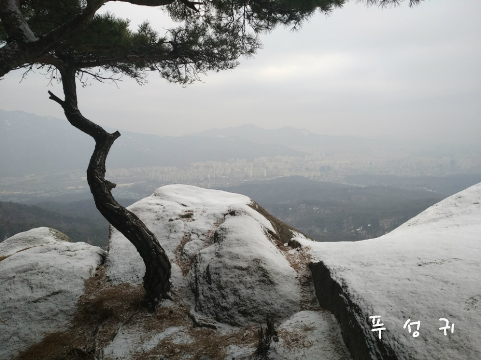 번개산책