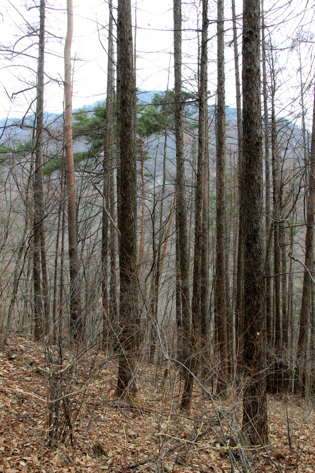 괴산 군자산 산행 (2019.3.23)