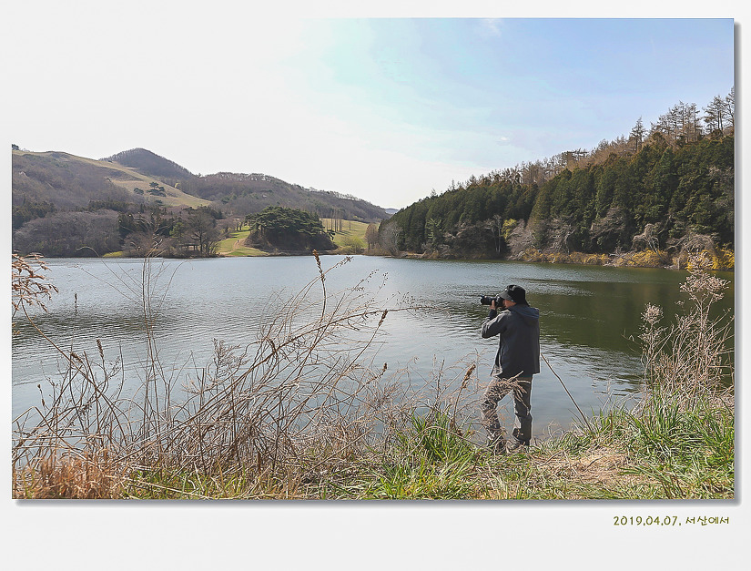 용비지의 봄이 오는 소리(2019.04.07)