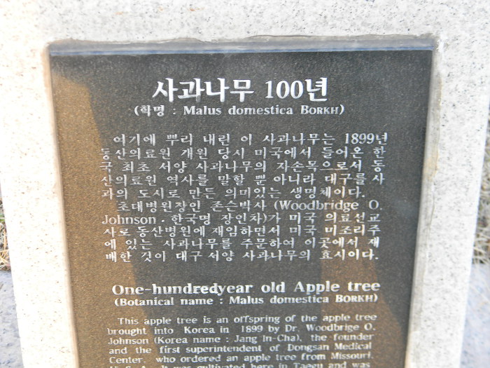 청라언덕 선교사 스윗즈주택~대구 사과의 고향(사과나무)~은혜정원
