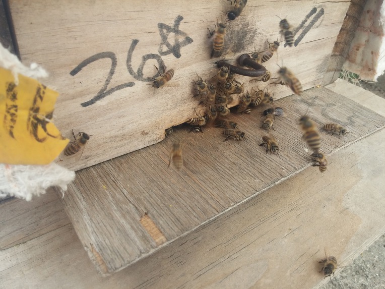 2019년 4월 8일 오전 01:31