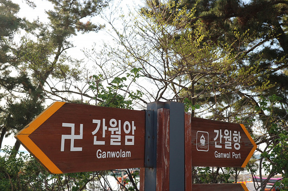 원본이미지(클릭)