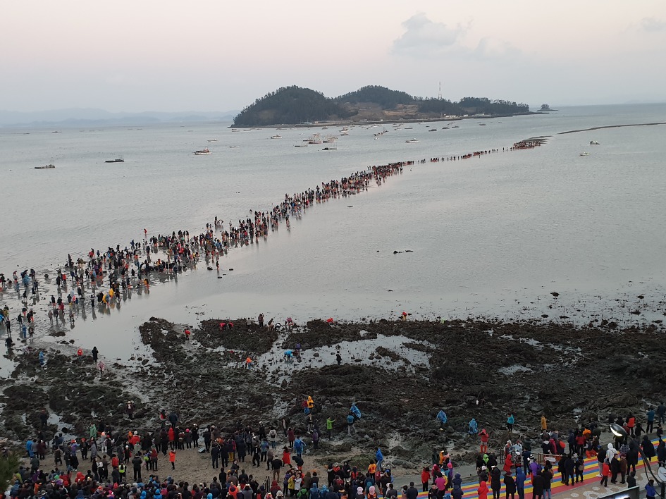 진도 신비의 바닷길축제 2019 