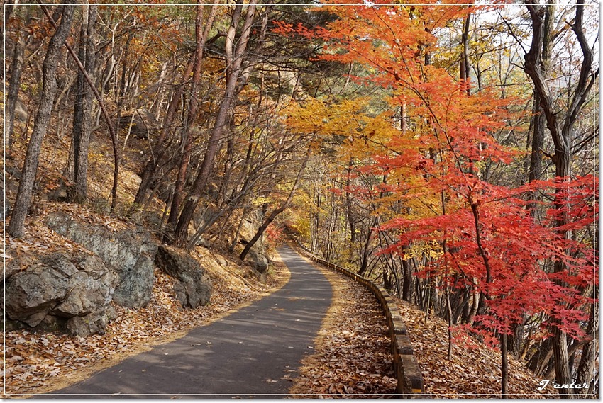 지리산 대원사계곡(유평계곡) ~ 대원사의 늦가을 풍경