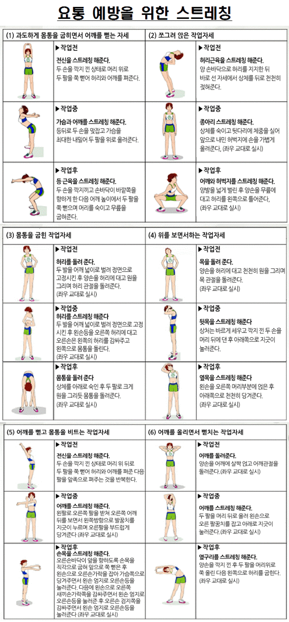 요통 예방을 위한 스트레칭