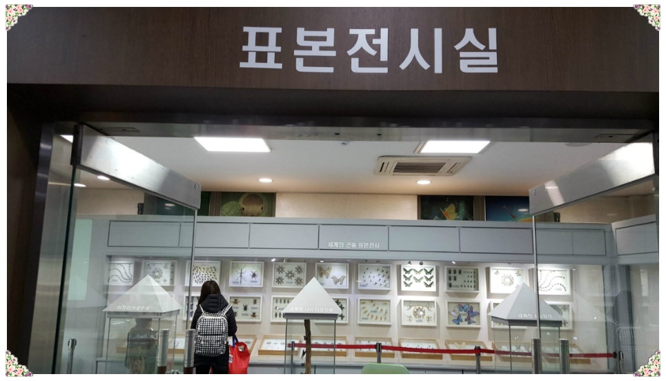 봄 나들이 다녀오다..[응봉산과 서울숲]