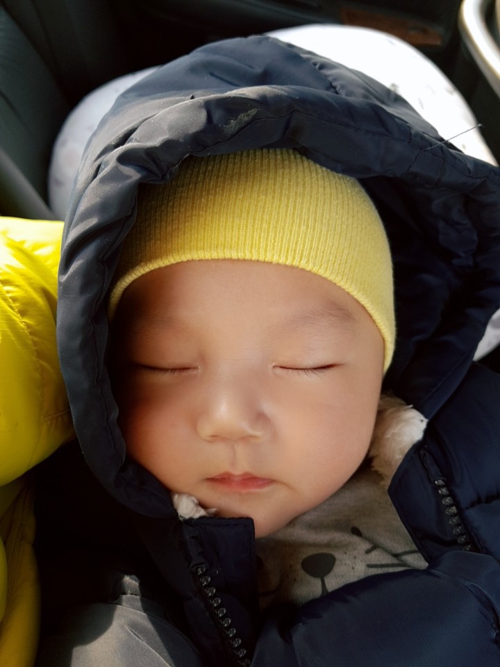 생후 80일
