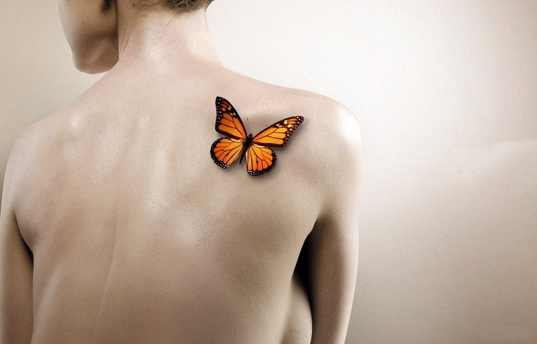 Butterfly(나비)