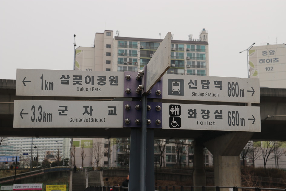'청계천 매화거리'를 다녀왔습니다.        (20190311)