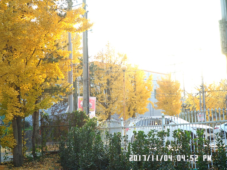 작은뜰 농원의 가을