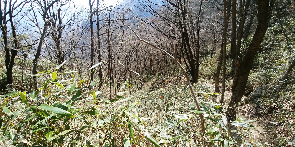 진안 구봉산 등산