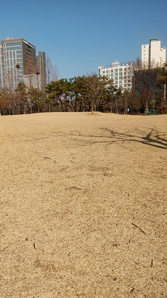 봄 오는 소리