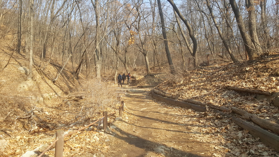 도봉옛길~방학동길 걷기/2019.02.24