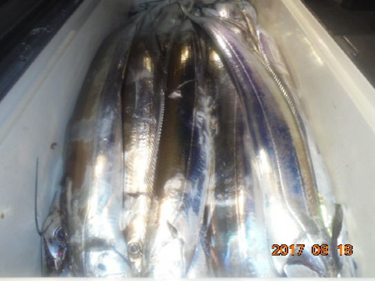 99CA0C33599650521674CB