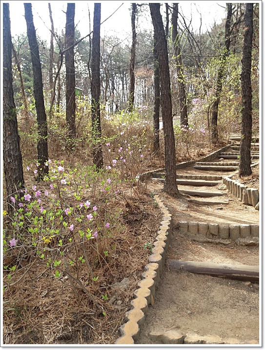 우리동네도 꽃동산