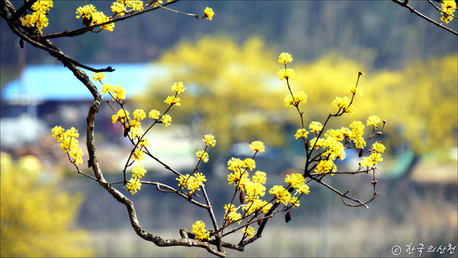 순례길·올레길도 좋지만 고향길 만한 게 있을까 