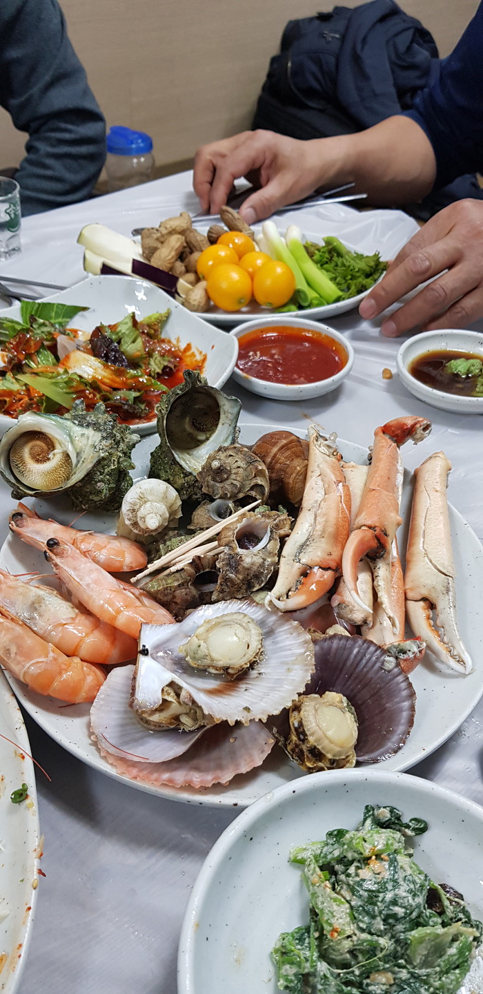 남쪽 여행