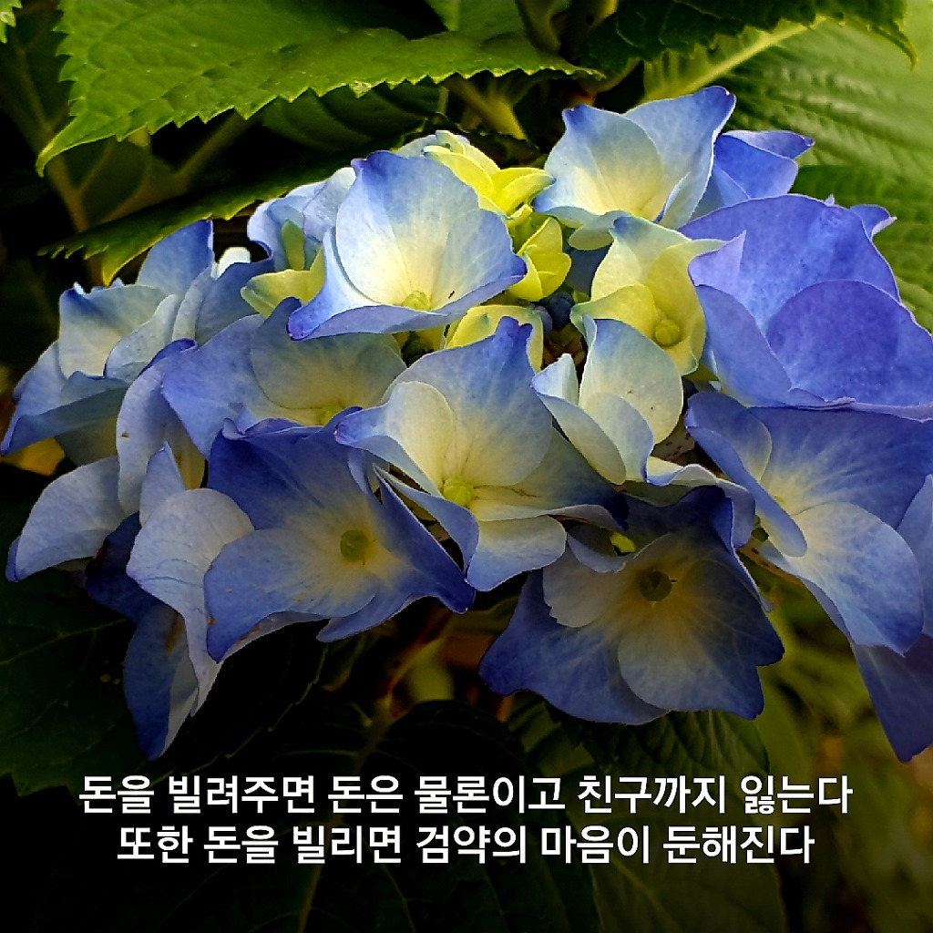 돈을 빌려주면 