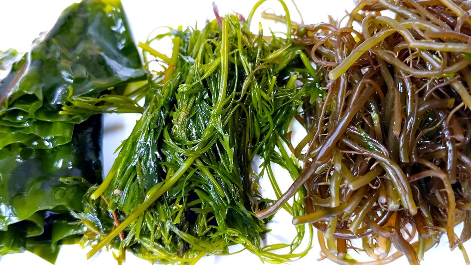 죽변항 맛집/동해회대게/저렴한 대게집 여기가 최고