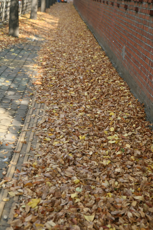 **올 한해의 매듭은 "감사 하는 마음" 으로...**